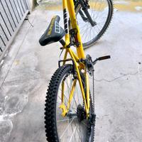 MTB alpina 24 