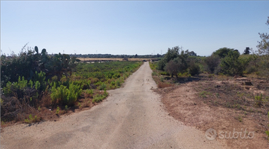 Terreno agricolo Contrada Capraro (Vittoria)