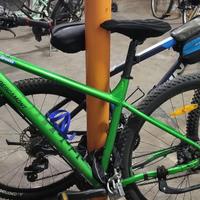 Bergamott xelox 2 29 pollici verde smeraldo Bicicl