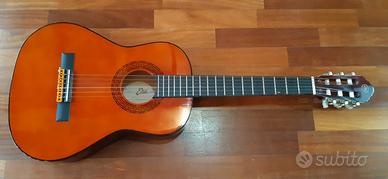 CHITARRA CON CUSTODIA 50 EURO