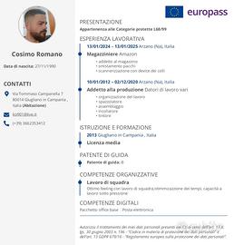 Tintore pelletteria spazzolatore