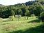 Immagine 19