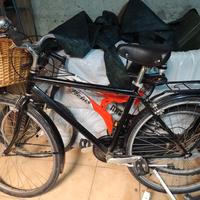 bici da uomo