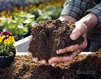 giardinaggio e fai da te