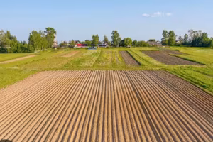 Vendita terreno agricolo