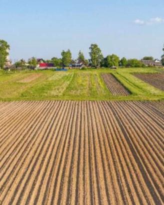 Vendita terreno agricolo