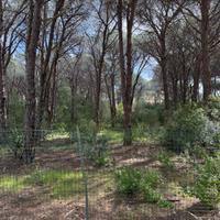 Terreno 1000 mq ex saia