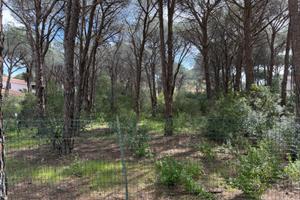 Terreno 1000 mq ex saia