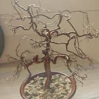 Bonsai fatto di rame