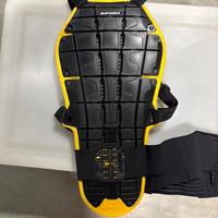Tartaruga da moto