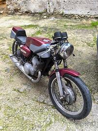 Suzuki T500