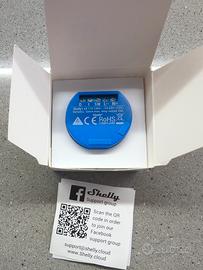 shelly 1