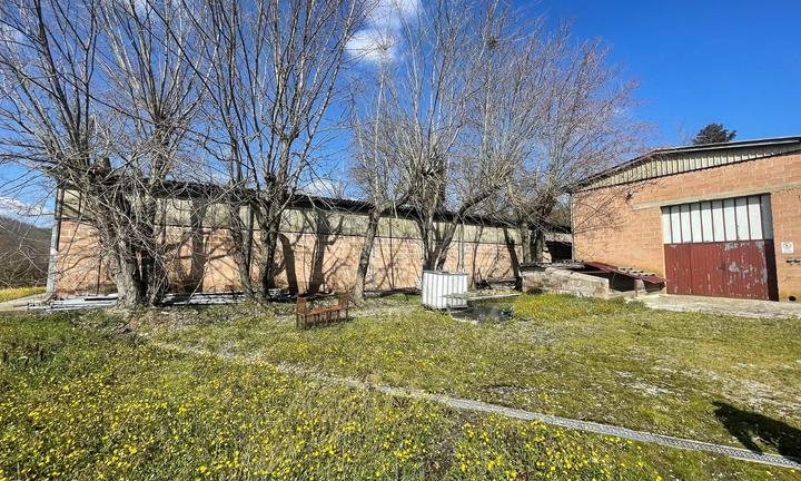 Azienda agricola per allevamento avicolo di 5 etta