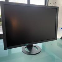 Monitor professionale Eizo 24"