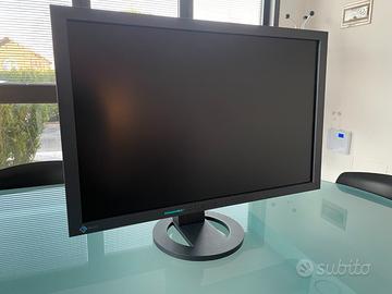 Monitor professionale Eizo 24"