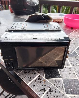 autoradio Pioneer 