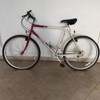 Mountain bike vintage