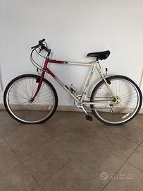 Mountain bike vintage