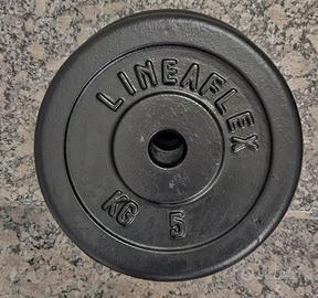 dischi da kg 10 e 5 kg foro 25 . Barra di trazione