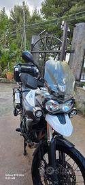 tiget 800 xc 