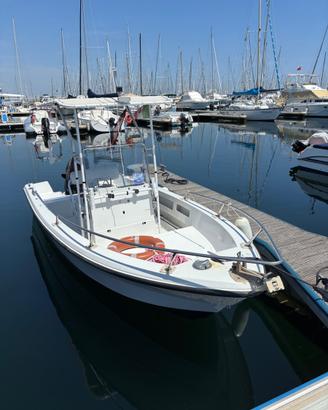 Barca Fiart Brezza 17