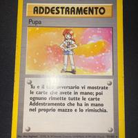 Pupa Set Base 75/102