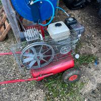 Abbacchiatore per olive