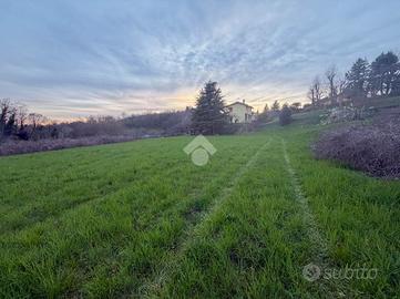 TER. AGRICOLO A SIRTORI