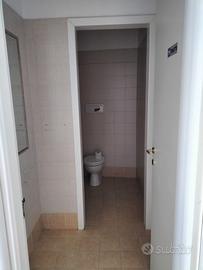 Ampio locale commerciale