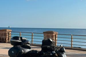 Honda hornet 600 2007