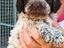Immagine 4