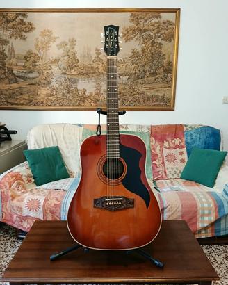 chitarra acustica Eko modello d50 