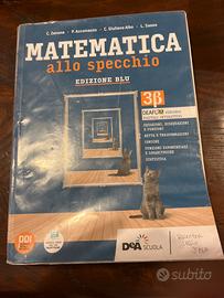 Libri Scientifico- matematica allo specchio