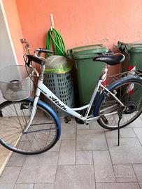 atala donna