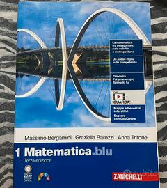 1 matematica blu 