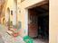 Immagine 15
