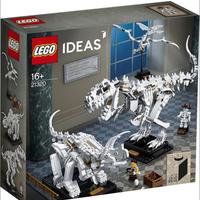 LEGO Ideas 21320