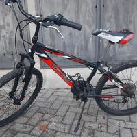 Bicicletta ragazzo 24 pollici 