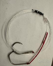 Terminali traina con il vivo