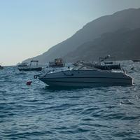 Chaparral 205