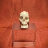 TESCHIO IN OSSO O CORNO 2,3 cm ( h )– 2 cm (prof.)