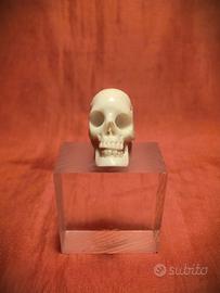 TESCHIO IN OSSO O CORNO 2,3 cm ( h )– 2 cm (prof.)