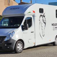 Renault master trasporto cavalli