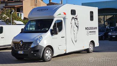 Renault master trasporto cavalli