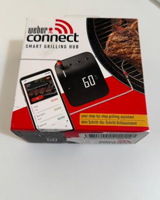 WEBER Connect