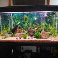 acquario ferplast 250lt