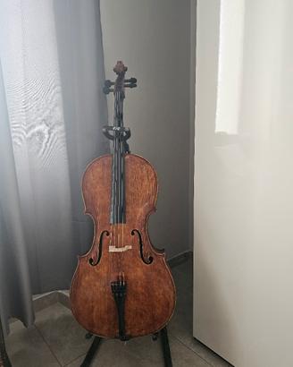 violoncello liuteria