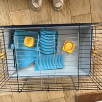 Gabbia per cavie e attrezzi per cavia