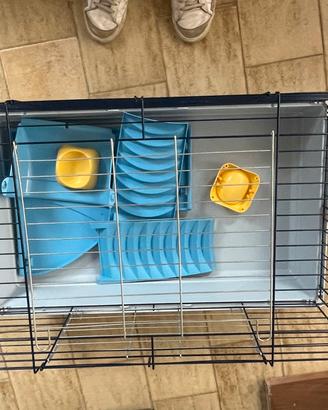 Gabbia per cavie e attrezzi per cavia