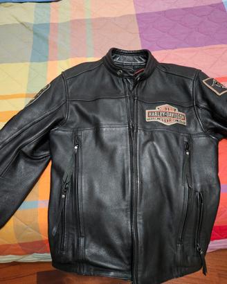 giubbotto harley davidson 